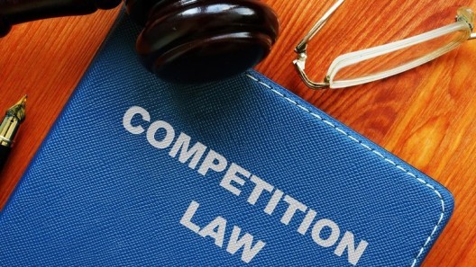 影響中國競爭法執法部門進行合併檢討的研究