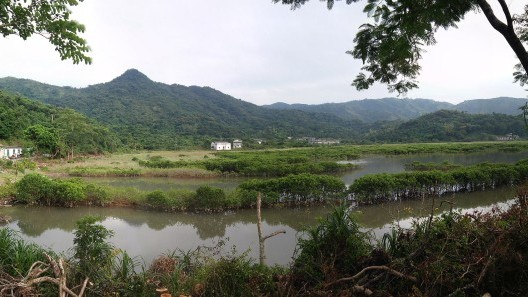通過環境 DNA 代謝編碼探索香港西部水域河口紅樹林的隱蔽魚類群落和漁業價值