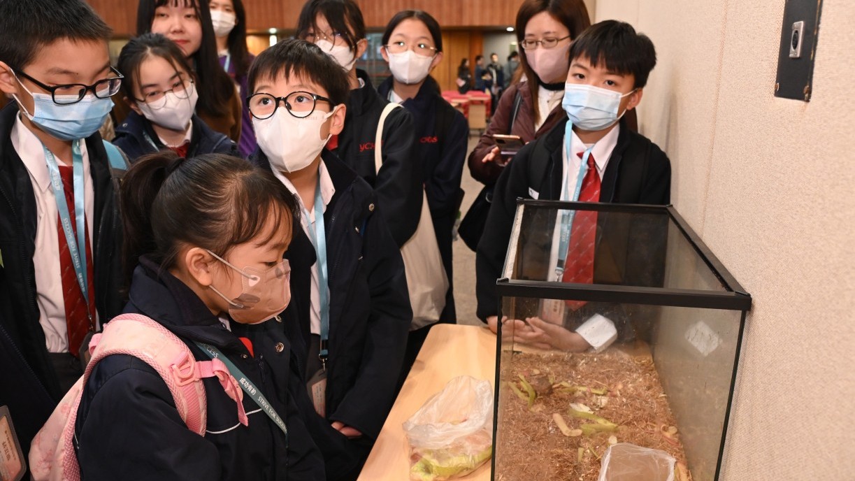 The Science Unit of Lingnan University arranges classes on topics such as plastic classification, kitchen waste processing, and biodiversity so the students can participate in various experiential STEAM activities.